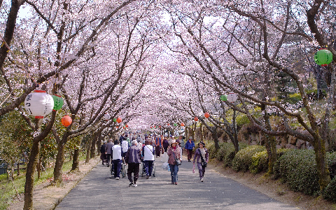 公渕森林公園